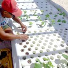 Aquaponic Community Garden