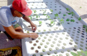 Creating Sustainability in Abaco