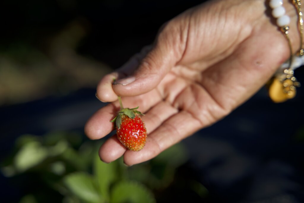 Woman farmer showcasing her results.