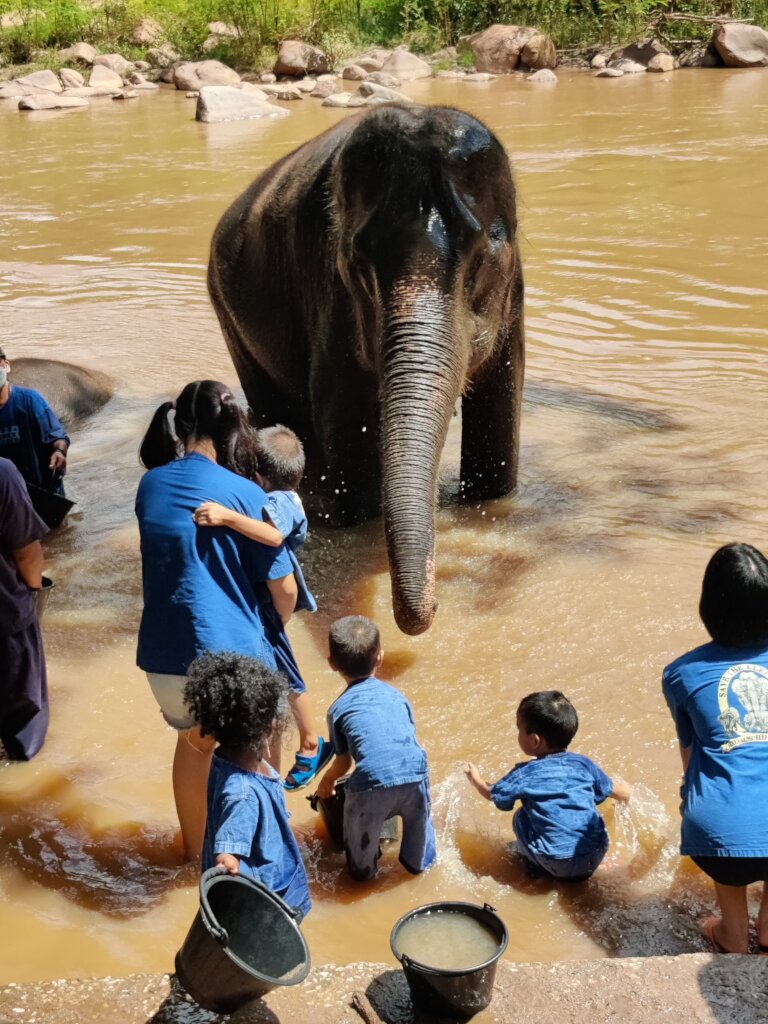 Connie's Home - A Group Foster Home - 2025 Budget