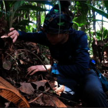 W4C Herpetologist