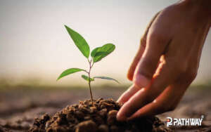 Planting tree and Save Environment & Earth
