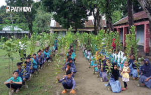 Distribution of saplings among students