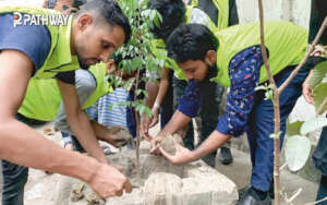 Volunteers planting saplings