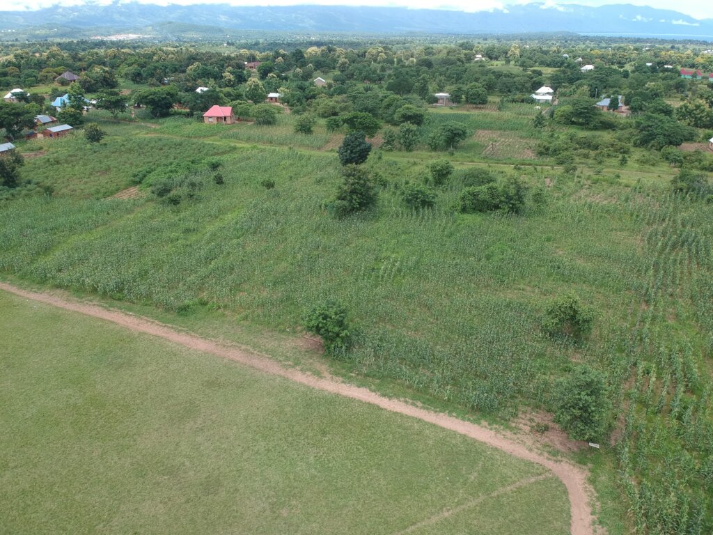 The school garden project in Tanzania
