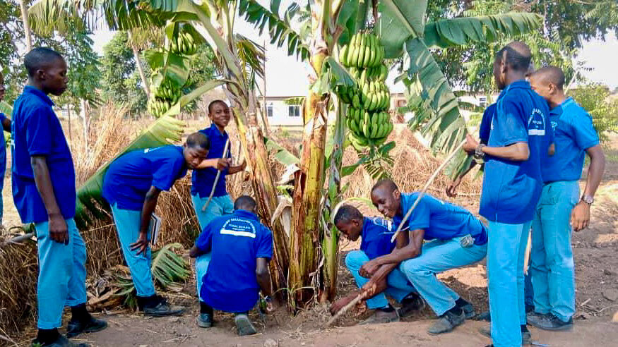 The school garden project in Tanzania