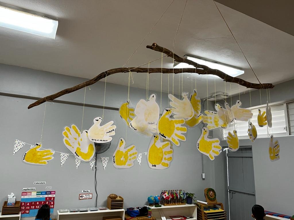 Public Montessori for Peace in Puerto Rico