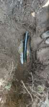 pipe repairs