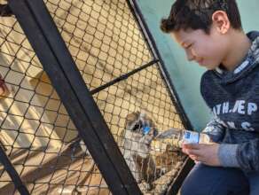 Giving water to the monkeys at the Zoo