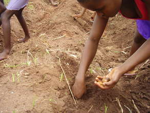 Planting crops on school garden