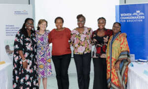 Fellows and Mentors: A Perfect Team
