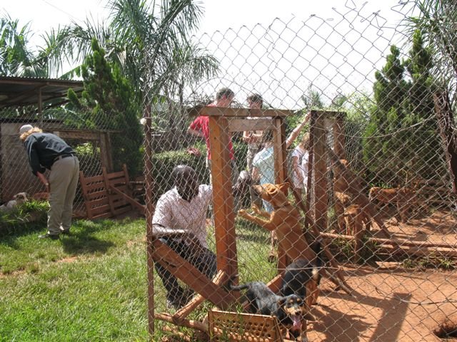 Support Uganda SPCA animal shelter ops & expansion