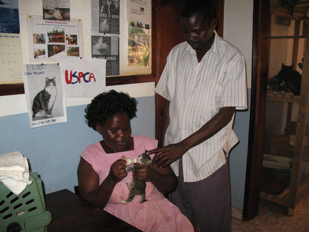 Support Uganda SPCA animal shelter ops & expansion