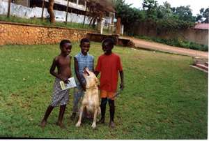 Support Uganda SPCA animal shelter ops & expansion