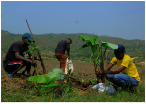 Youth in work