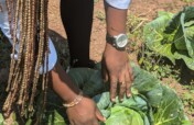 TUMIKA KIJANA (Young people in work)