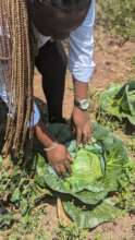 TUMIKA KIJANA (Young people in work)
