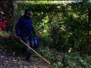 A World Kind to the Blind