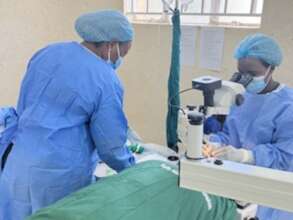 Humanizing Blindness