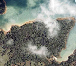 San Luis forest from Google maps. Outstanding!