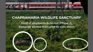 EleSense LIVE Detected a Herd of Elephants in CWS