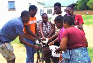 Communities will be safe from malaria
