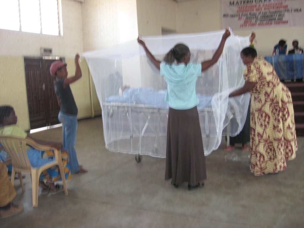 Project Mosquito Nets
