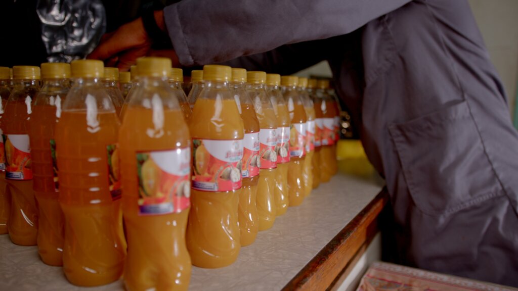 Support 25 Youth Entrepreneurs in Zimbabwe