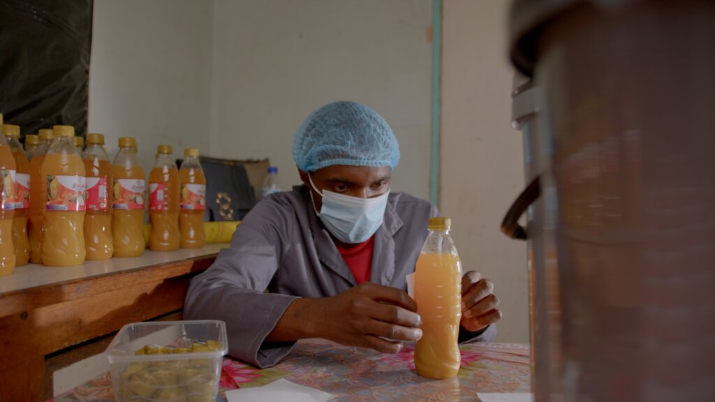 Support 25 Youth Entrepreneurs in Zimbabwe