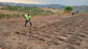 Farming