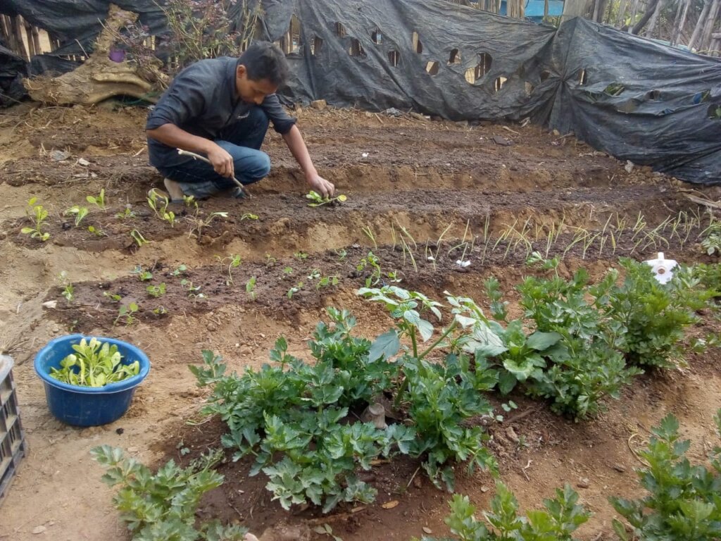 Empower Zambians & Guatemalans: Health and Safety