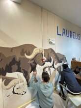 Bringing the buffalo to life