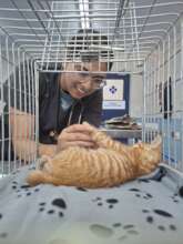 Getting lots of love in the Animal Hospital