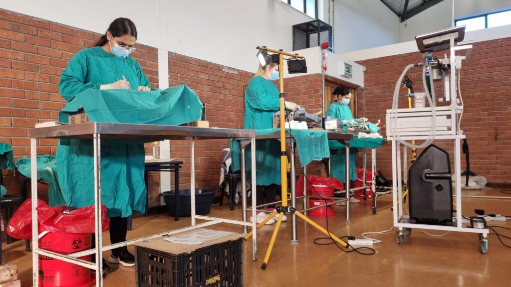 Veterinarians from the SPCA sterilising cats
