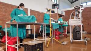 Veterinarians from the SPCA sterilising cats