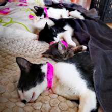 Patients sleeping off sedation post surgery