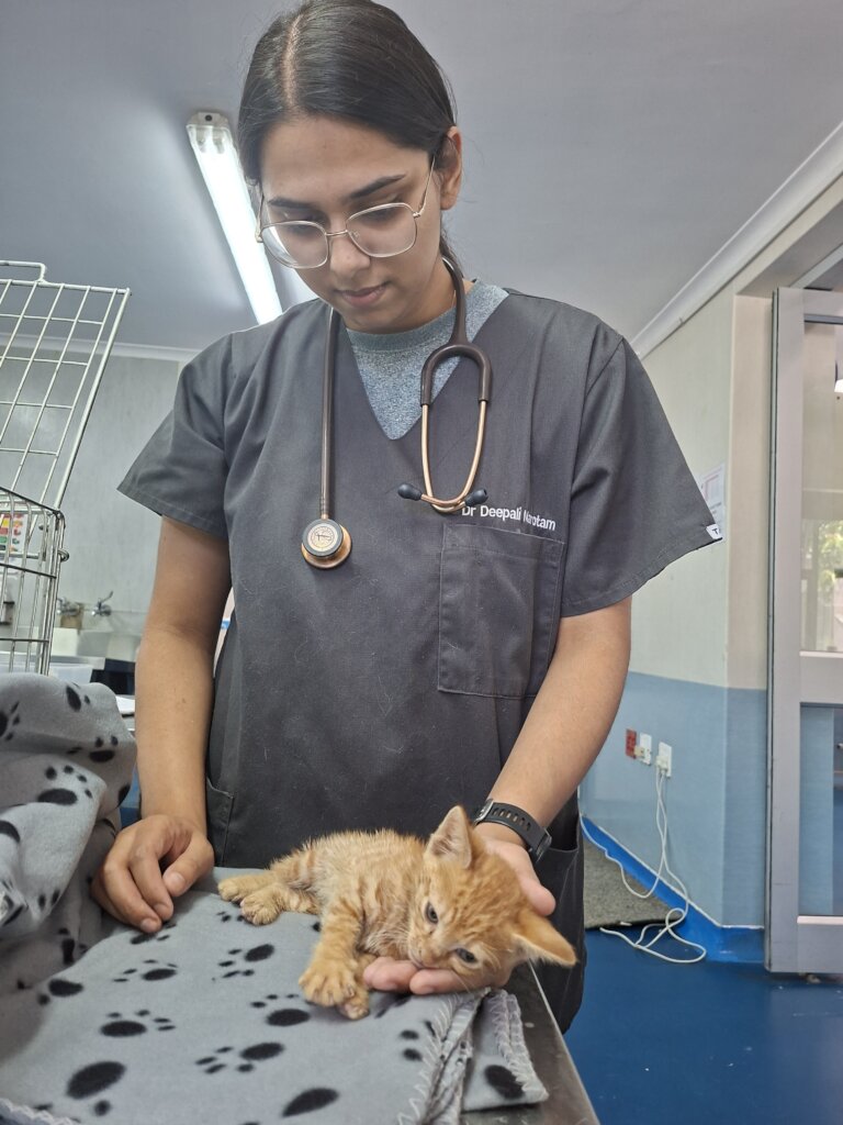 Little Survivor, Hope
