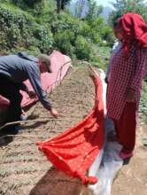 Preparation of nursery bed