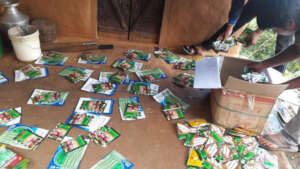 Vegetable seed distribution for income generation