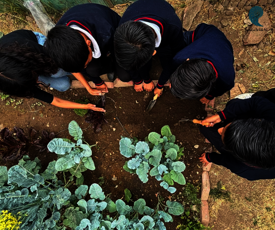 Cleaning school gardens