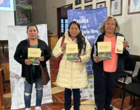 healthy communities guide