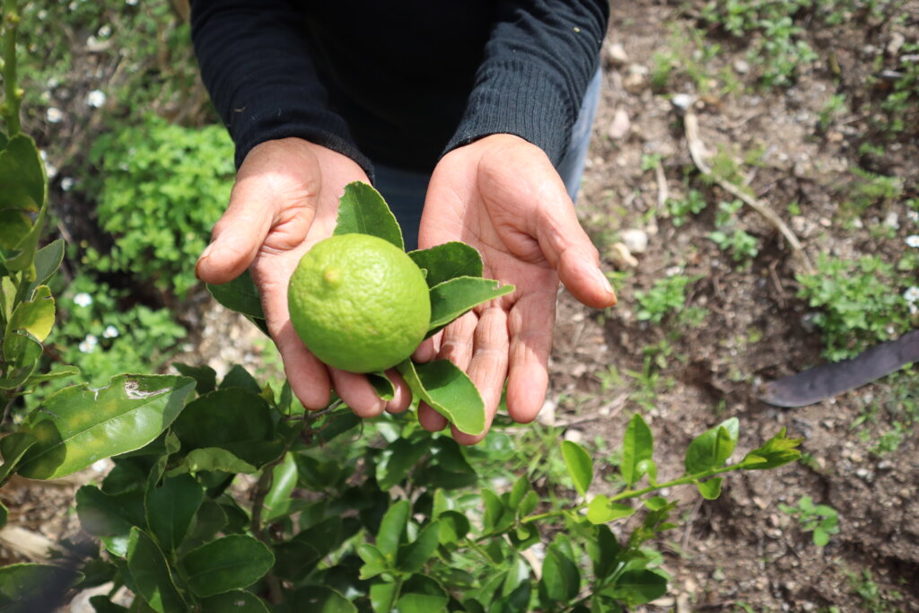 Healthy nutrition for 120 children in Oaxaca GlobalGiving