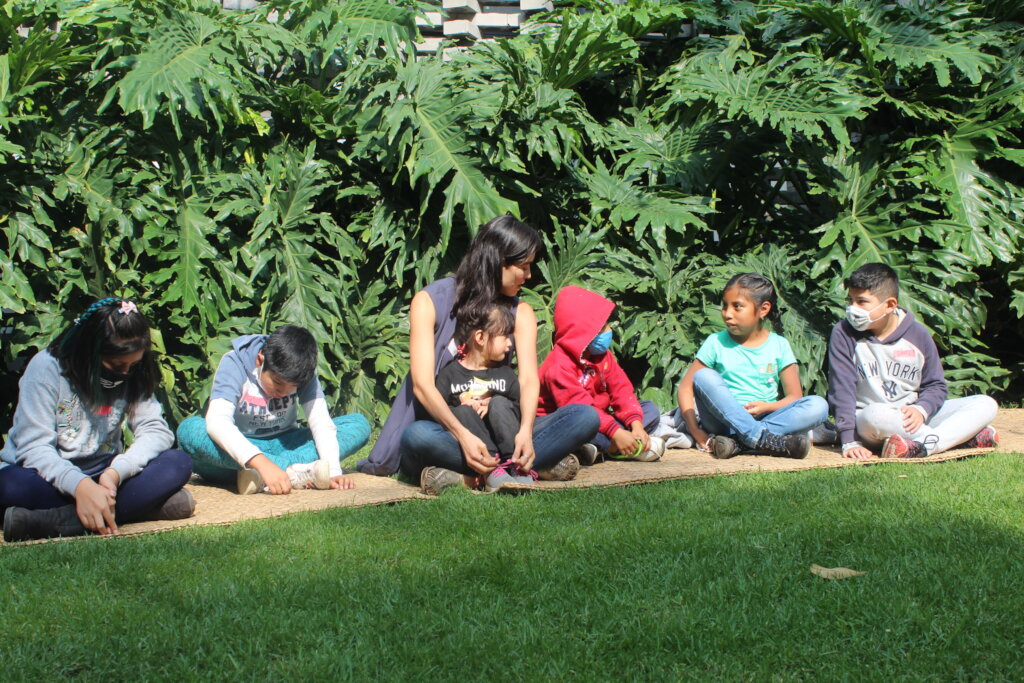 Art&Neuroscience: 250 vulnerable mexican children