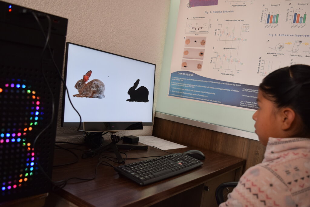 Art&Neuroscience: 250 vulnerable mexican children