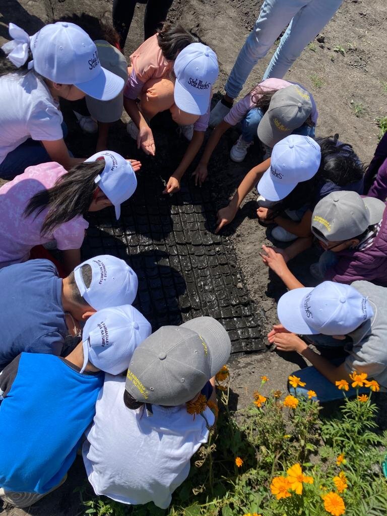 Art&Neuroscience: 250 vulnerable mexican children