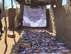 Dignity kits purchased & distributed