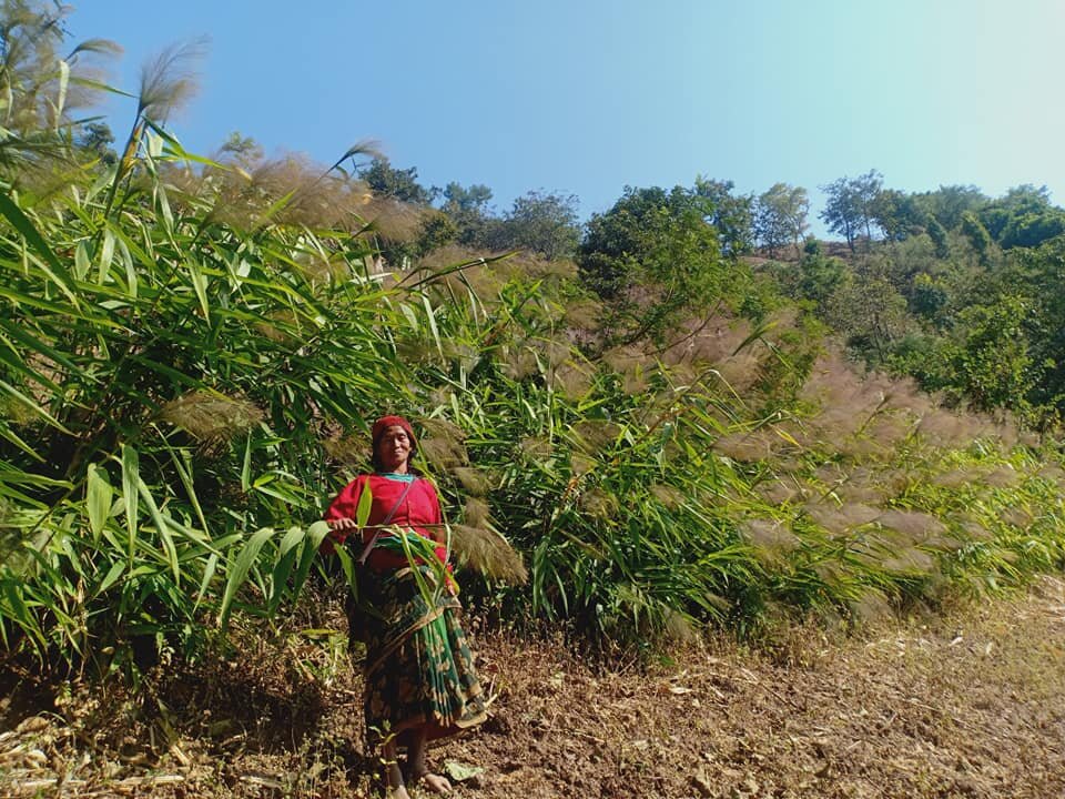 Help 1000 homes, grow 1M cash crops in Nepal