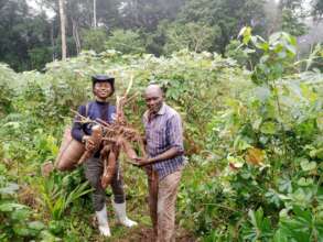 Resilience and adaptation solutions for affected p
