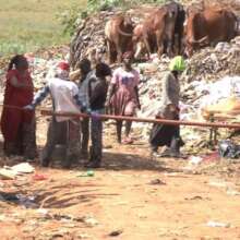 Used pads among waste at landfill