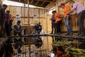 People come to know more about the axolotls.